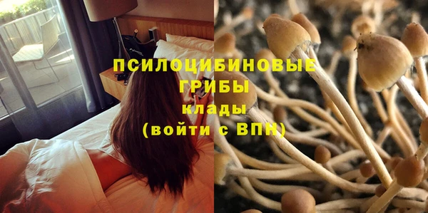 ALPHA-PVP Абинск