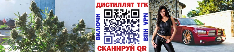 цены наркотик  Александров  маркетплейс как зайти  Дистиллят ТГК Wax 