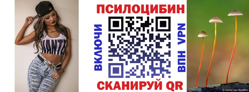 Галлюциногенные грибы мицелий  блэк спрут как зайти  Александров 