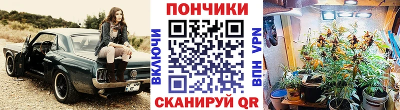 где купить наркоту  Александров  Шишки марихуана сатива 